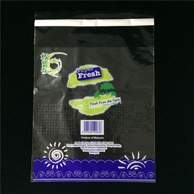 El ODM imprimió los bolsos perforados micro para las verduras Odorproof multicolor